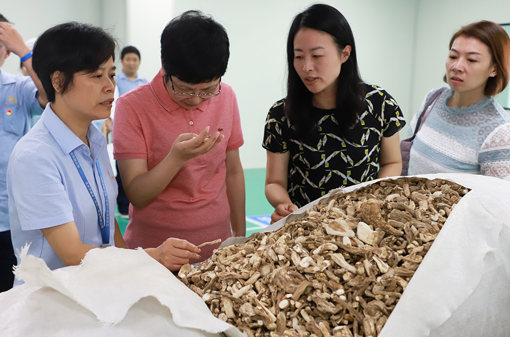 大红鹰心冰水论坛