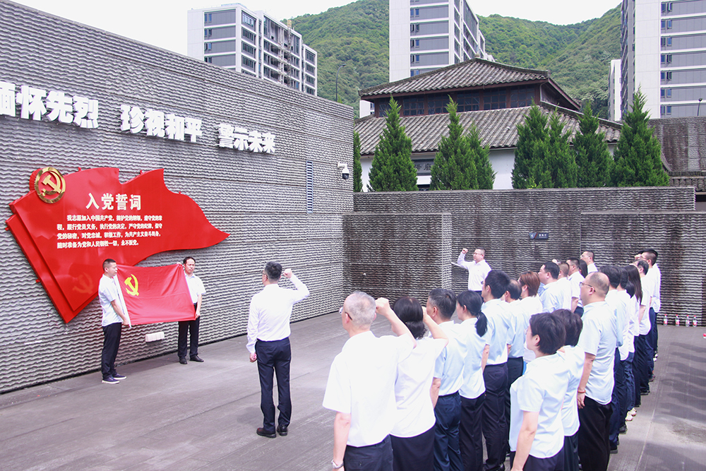 大红鹰心冰水论坛